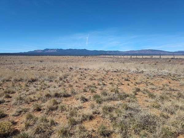 80 Acres of Land for Sale in Mountainair, New Mexico