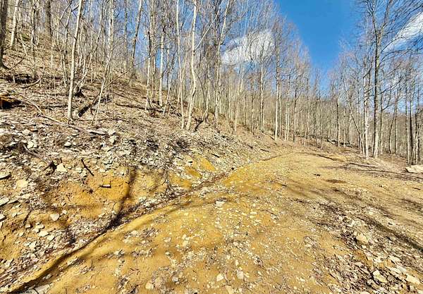 2.39 Acres of Residential Land for Sale in Moatsville, West Virginia