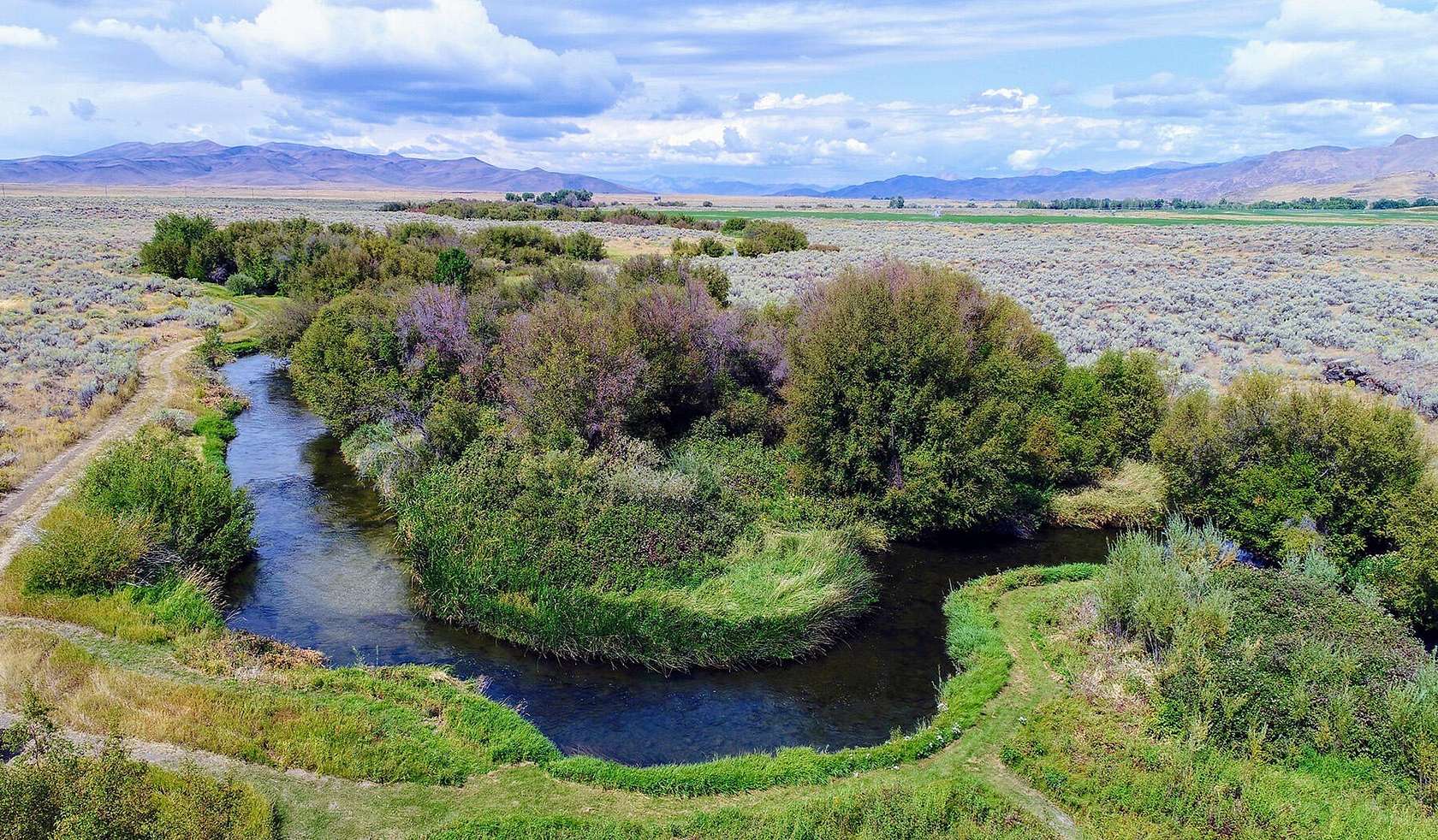 1,226 Acres of Agricultural Land with Home for Sale in Picabo, Idaho