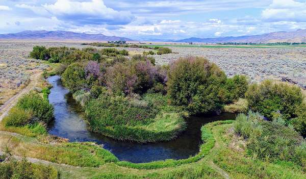 1,226 Acres of Agricultural Land with Home for Sale in Picabo, Idaho