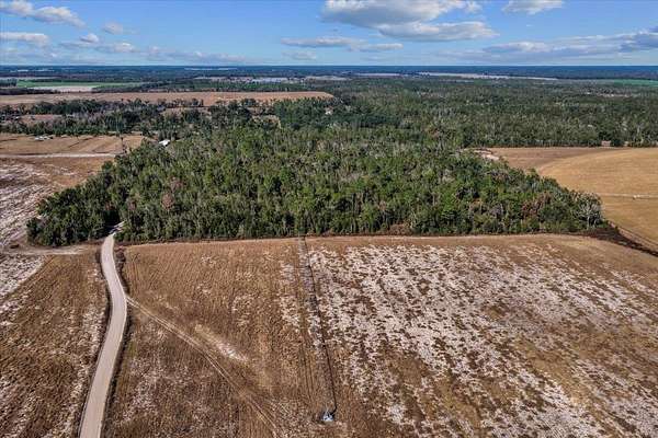 10 Acres of Land for Sale in Lee, Florida