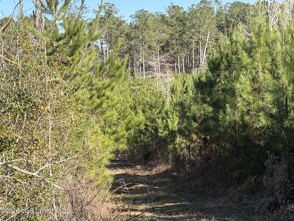 40 Acres of Recreational Land for Sale in Braxton, Mississippi