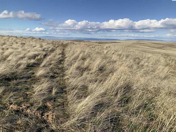 43.4 Acres of Agricultural & Residential Land for Sale in Mabton, Washington