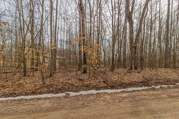 0.41 Acres of Land for Sale in Canadian Lakes, Michigan