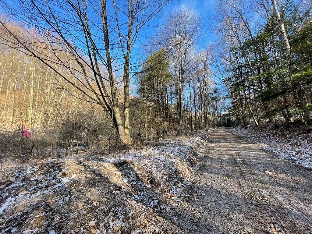19.2 Acres of Land for Sale in Roulette, Pennsylvania