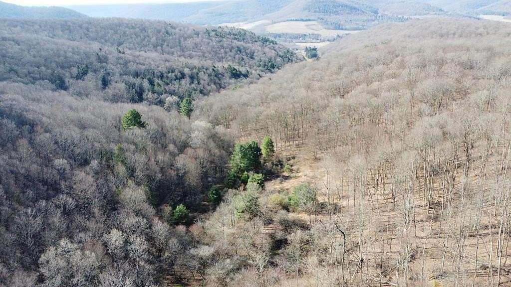 19.2 Acres of Land for Sale in Roulette, Pennsylvania
