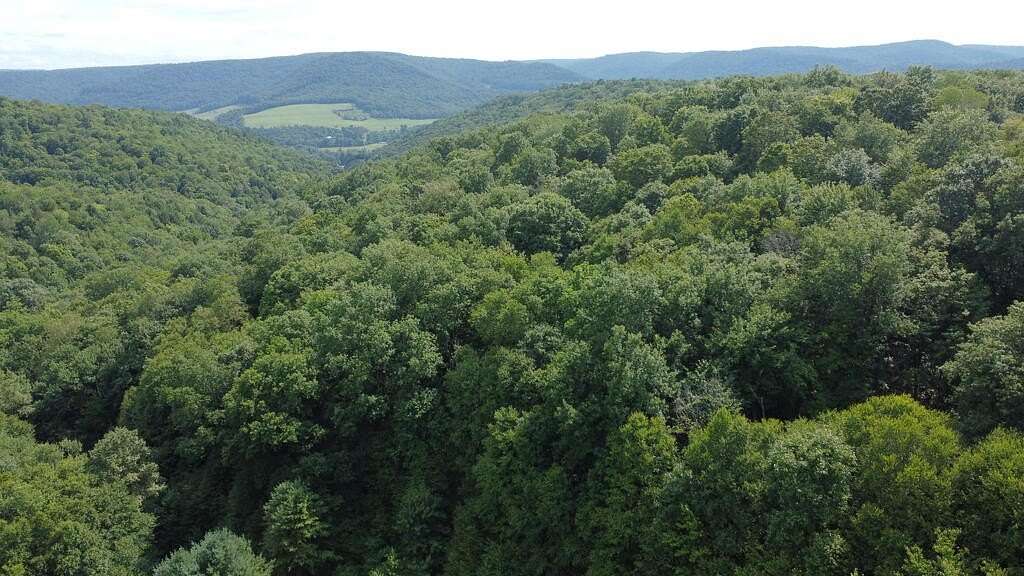 19.2 Acres of Land for Sale in Roulette, Pennsylvania