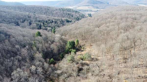 19.2 Acres of Land for Sale in Roulette, Pennsylvania