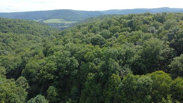 19.2 Acres of Land for Sale in Roulette, Pennsylvania