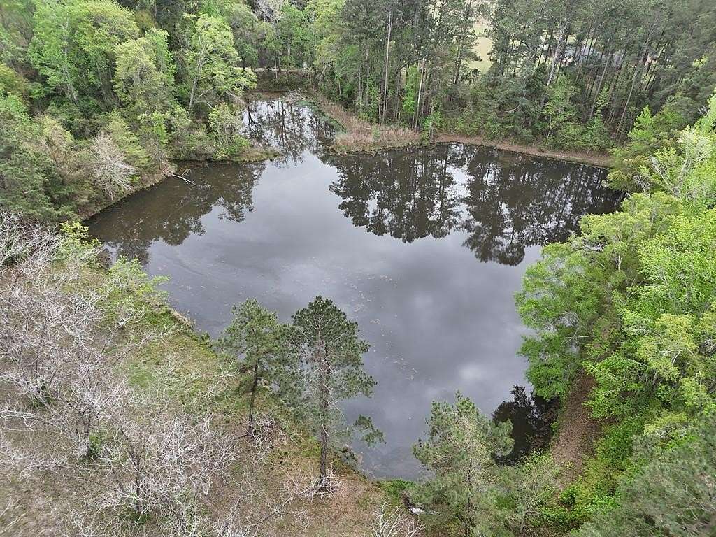 16 Acres of Land for Sale in Cairo, Georgia