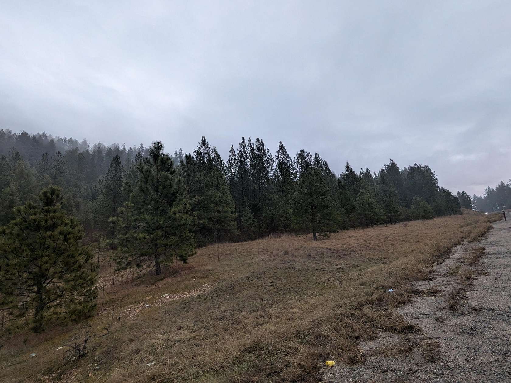 8.6 Acres of Land for Sale in Chewelah, Washington