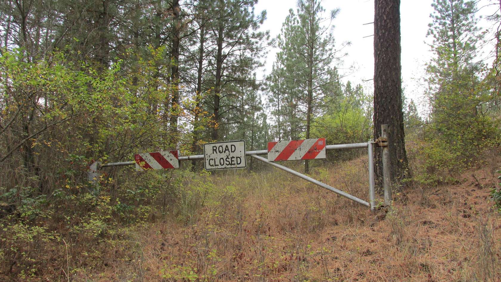 8.6 Acres of Land for Sale in Chewelah, Washington