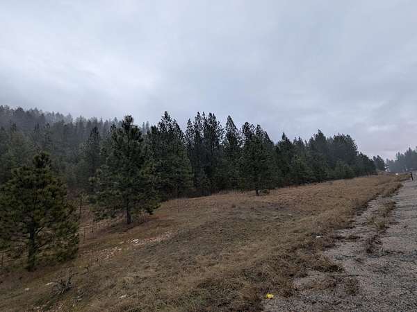 8.6 Acres of Land for Sale in Chewelah, Washington