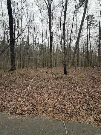0.26 Acres of Residential Land for Sale in Hot Springs Village, Arkansas
