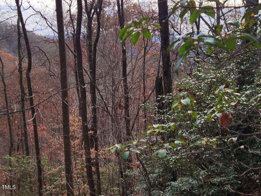 0.63 Acres of Residential Land for Sale in Bryson City, North Carolina