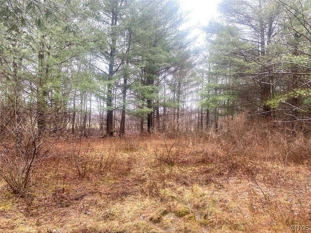 4.5 Acres of Land for Sale in Fillmore, New York