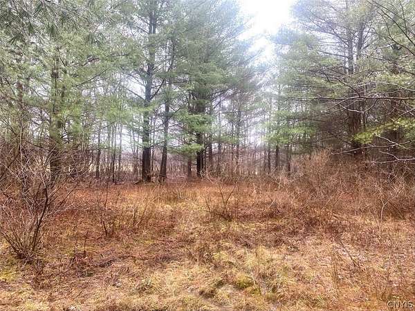 4.5 Acres of Land for Sale in Fillmore, New York