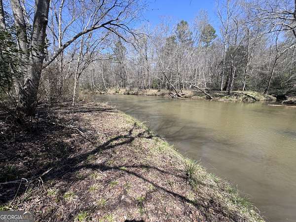 1 Acre of Residential Land for Sale in Carnesville, Georgia