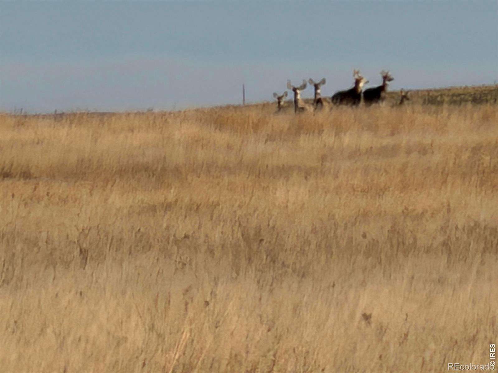 310 Acres of Land for Sale in Burlington, Colorado