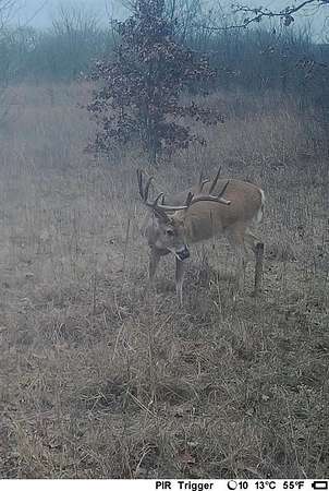 100 Acres of Recreational Land for Sale in Weleetka, Oklahoma