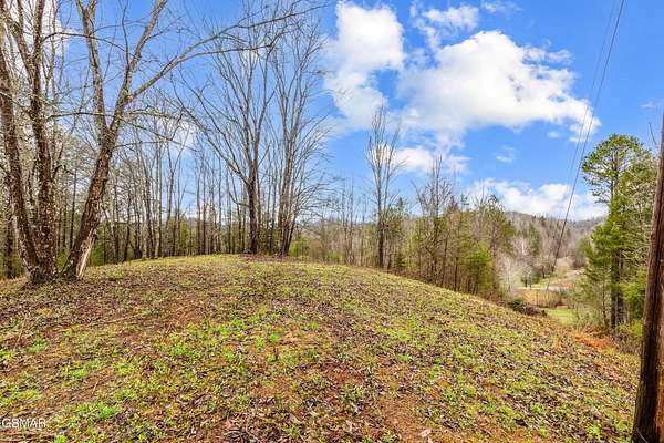 24.5 Acres of Agricultural & Residential Land for Sale in Seymour, Tennessee