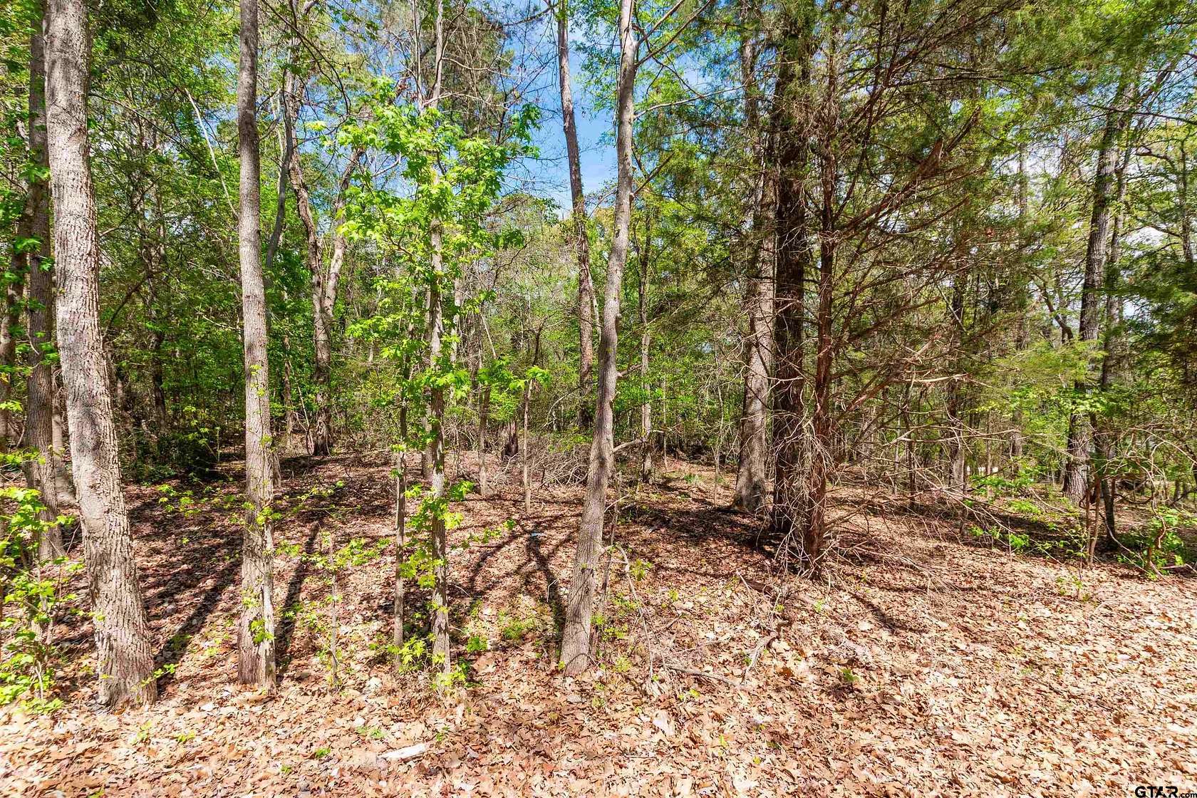 1.5 Acres of Residential Land for Sale in Tyler, Texas