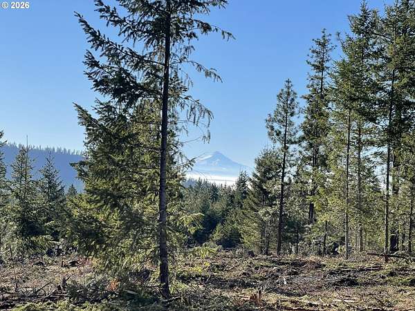 80 Acres of Recreational & Residential Land for Sale in Goldendale, Washington