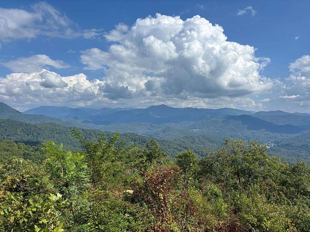 44.5 Acres of Recreational & Residential Land for Sale in Sylva, North Carolina