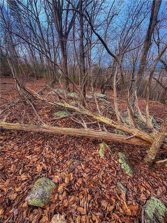 1.7 Acres of Residential Land for Sale in Denton, North Carolina