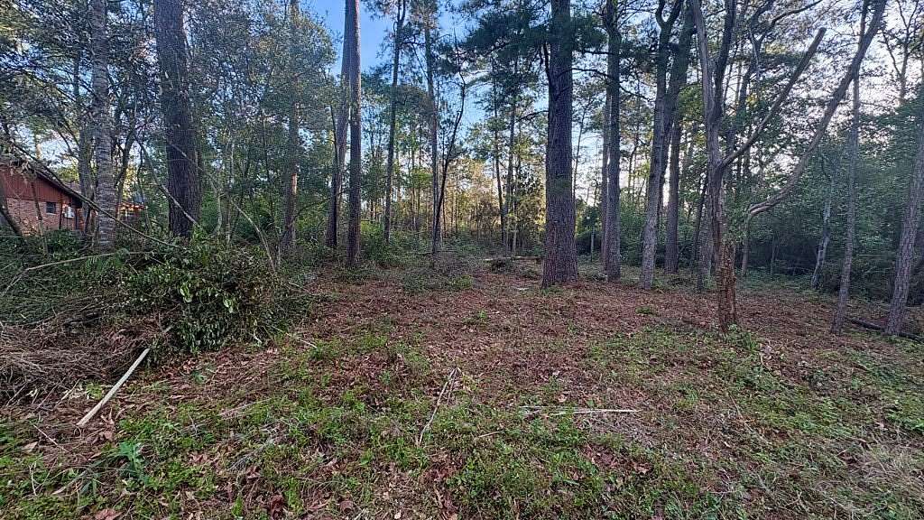 0.34 Acres of Residential Land for Sale in Woodville, Texas