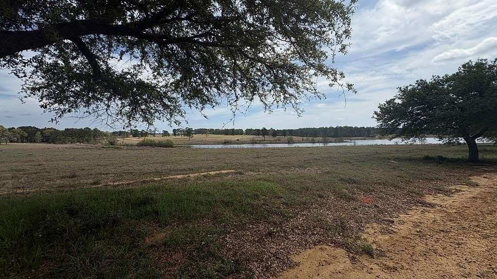1.38 Acres of Residential Land for Sale in Hillister, Texas