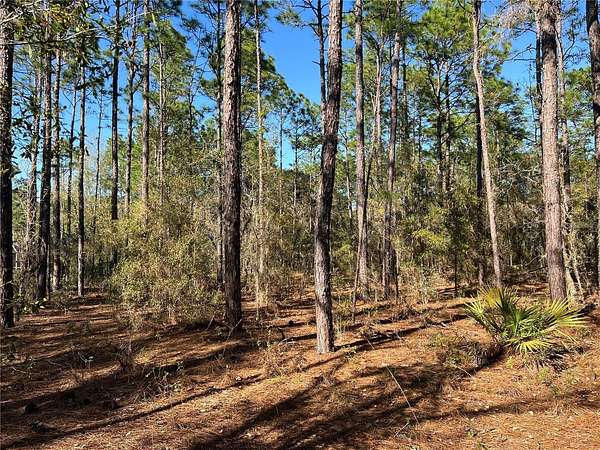 1 Acre of Residential Land for Sale in Hernando, Florida