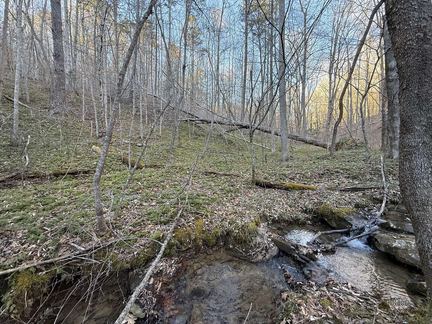 61.4 Acres of Recreational Land for Sale in Livingston, Kentucky