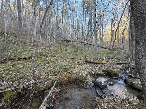 61.4 Acres of Recreational Land for Sale in Livingston, Kentucky