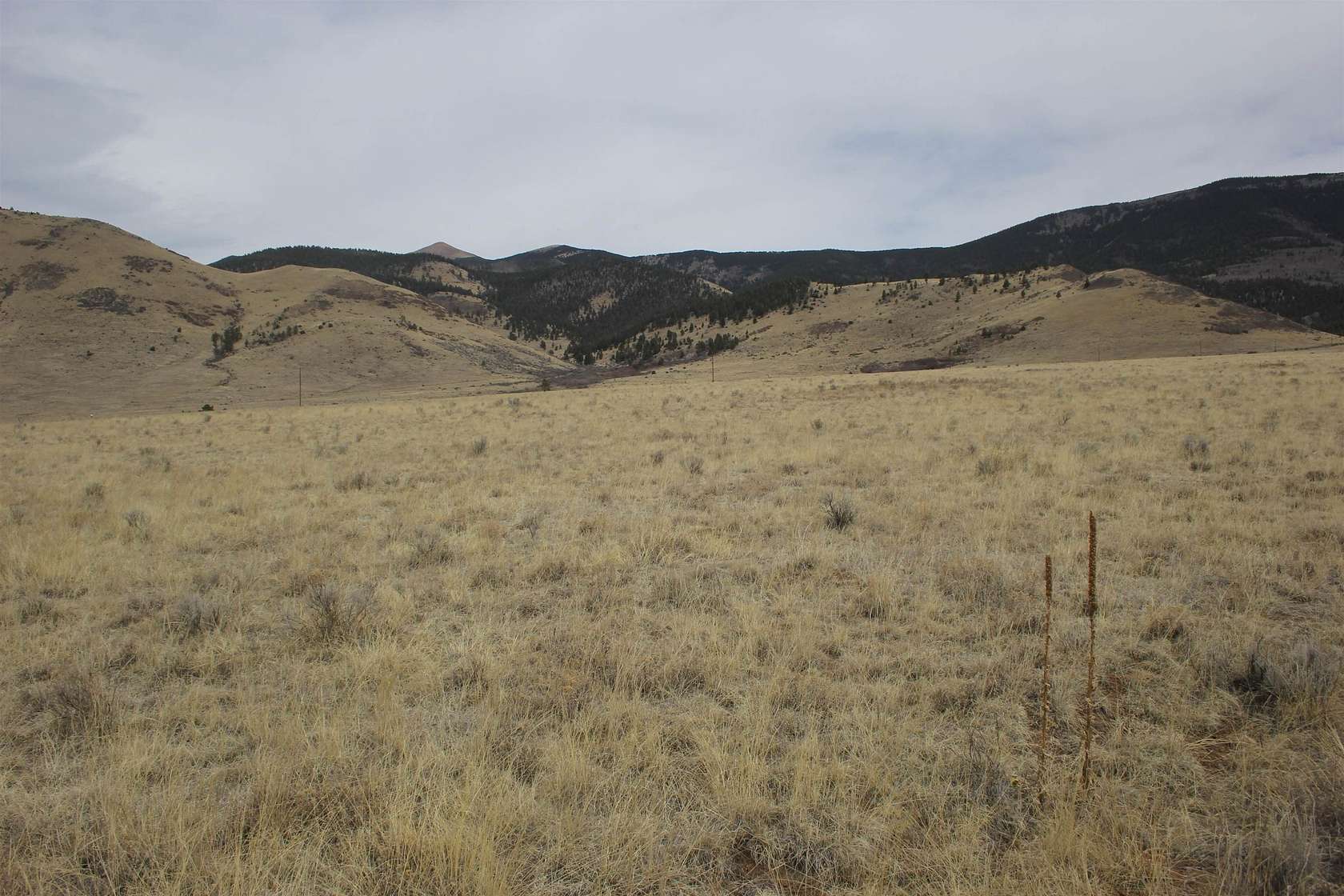 12 Acres of Land for Sale in Eagle Nest, New Mexico