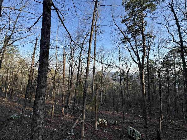 1.1 Acres of Residential Land for Sale in Hot Springs Village, Arkansas