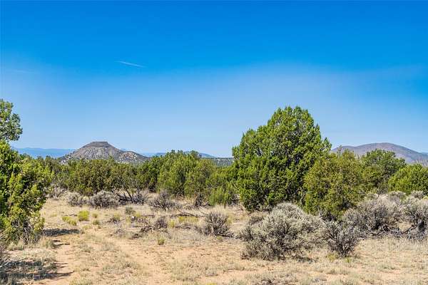 40.1 Acres of Recreational & Residential Land for Sale in Ojo Caliente, New Mexico