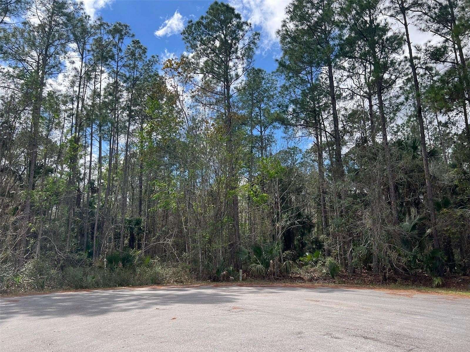 22.4 Acres of Land for Sale in DeLand, Florida