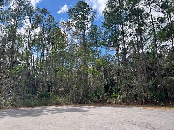 22.4 Acres of Land for Sale in DeLand, Florida