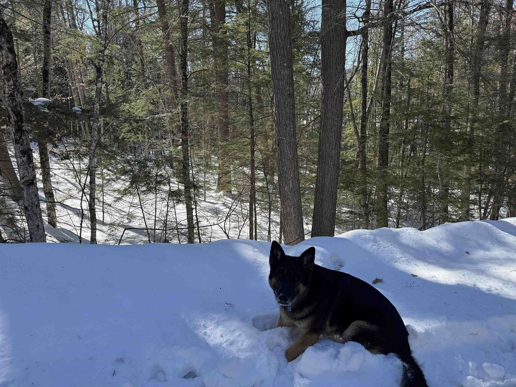 1.68 Acres of Residential Land for Sale in Ossipee, New Hampshire