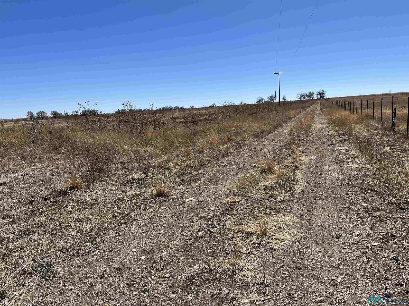 40 Acres of Land for Sale in Springer, New Mexico