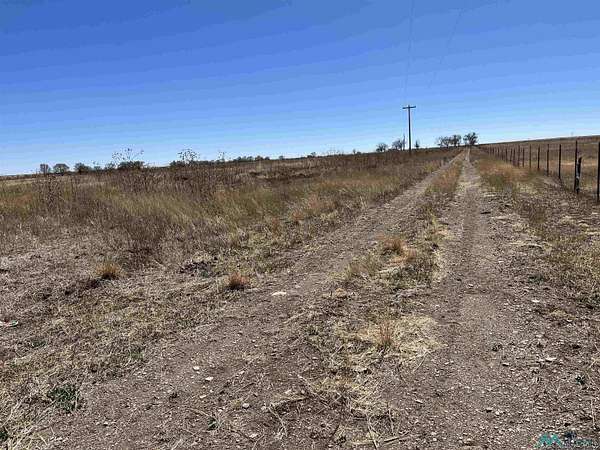 40 Acres of Land for Sale in Springer, New Mexico
