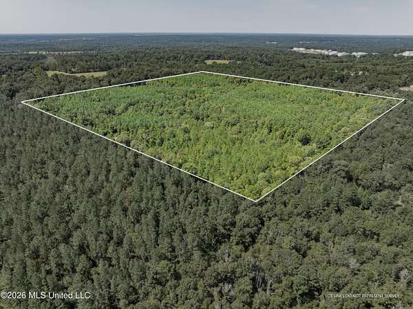 40 Acres of Recreational & Residential Land for Sale in Collins, Mississippi