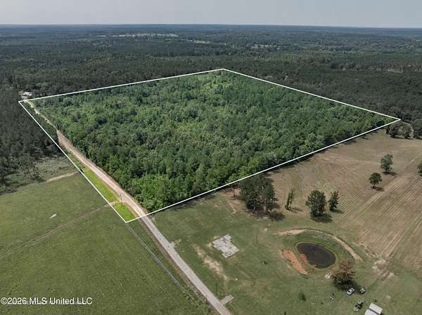 40 Acres of Recreational & Residential Land for Sale in Mount Olive, Mississippi