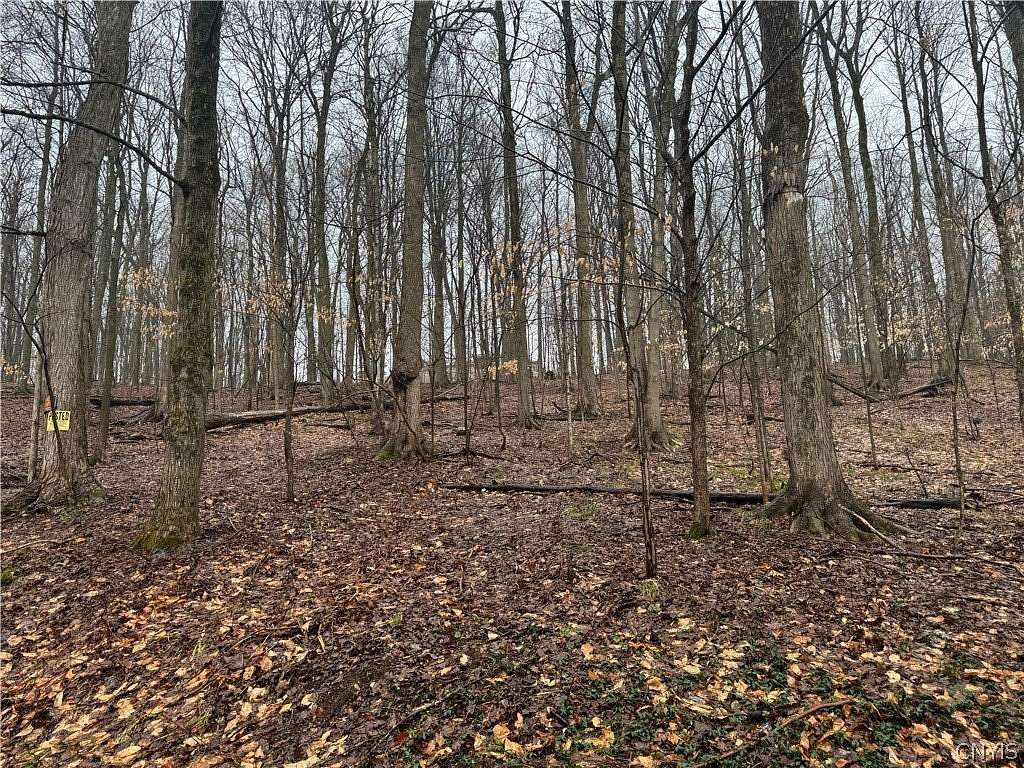 0.36 Acres of Residential Land for Sale in Utica, New York