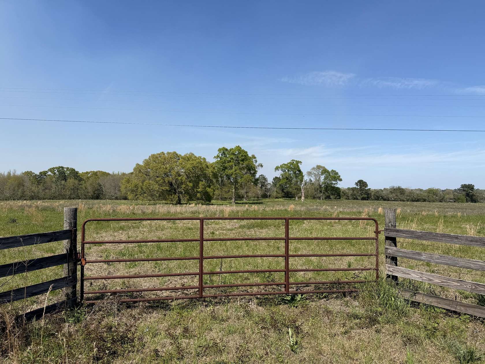 Residential Land for Sale in Perkinston, Mississippi