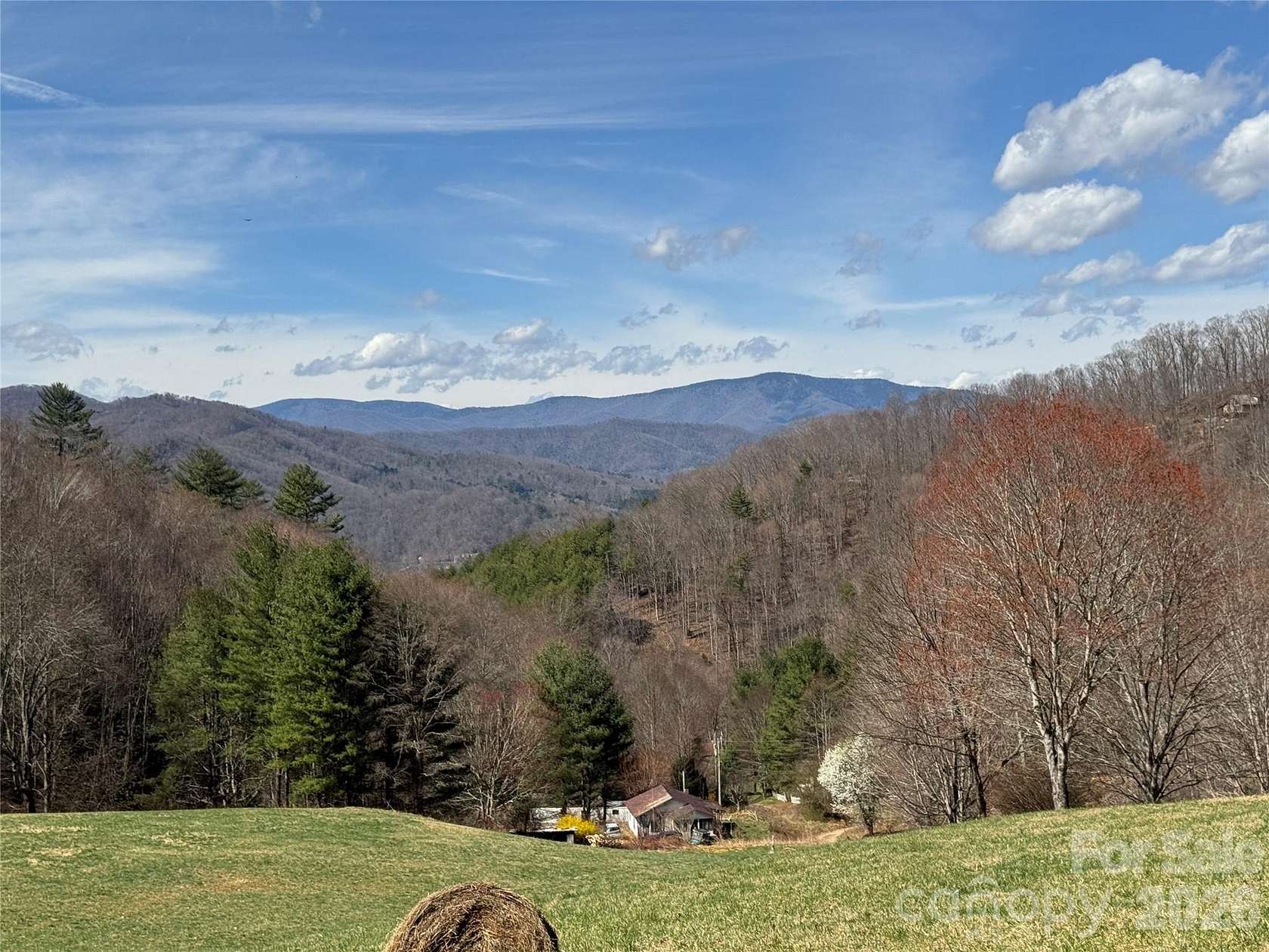 76.5 Acres of Land for Sale in Clyde, North Carolina