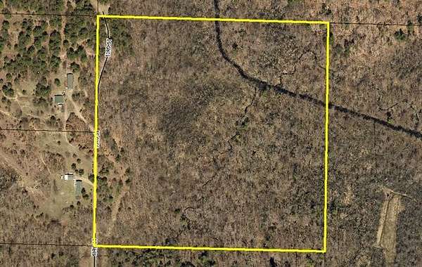 40 Acres of Land for Sale in Grand Junction, Michigan