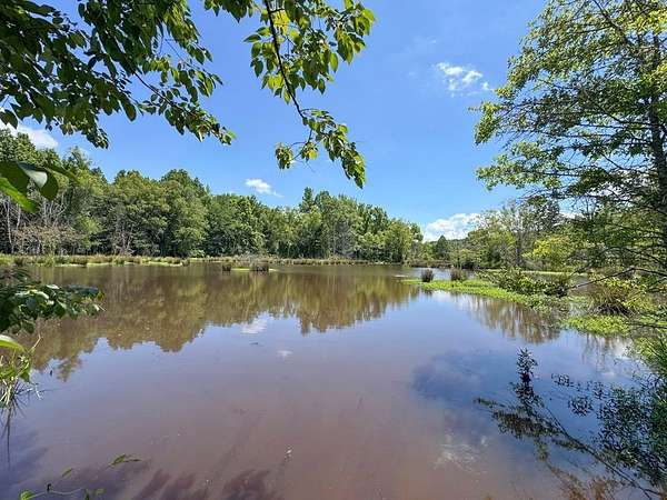 230 Acres of Recreational Land for Sale in Water Valley, Mississippi