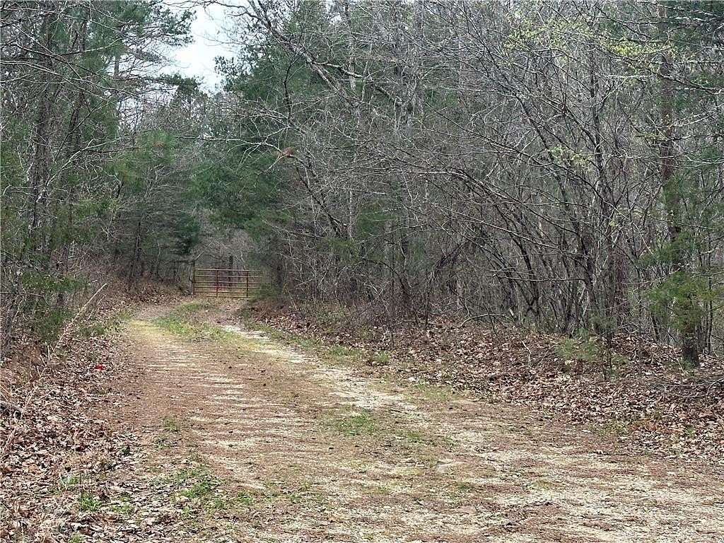 20 Acres of Recreational Land for Sale in Jasper, Arkansas